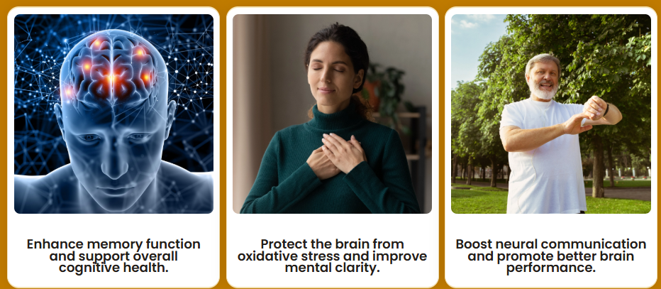 MemoHoney benefits overview
